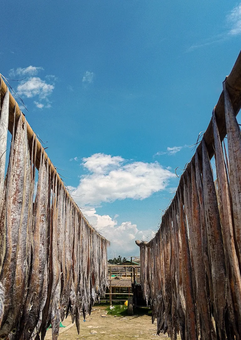 1000247893 1000247893