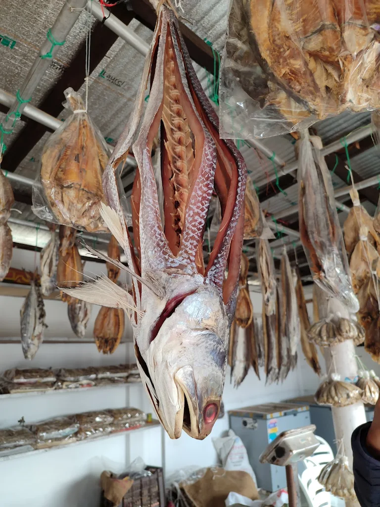 1000247895 1000247895