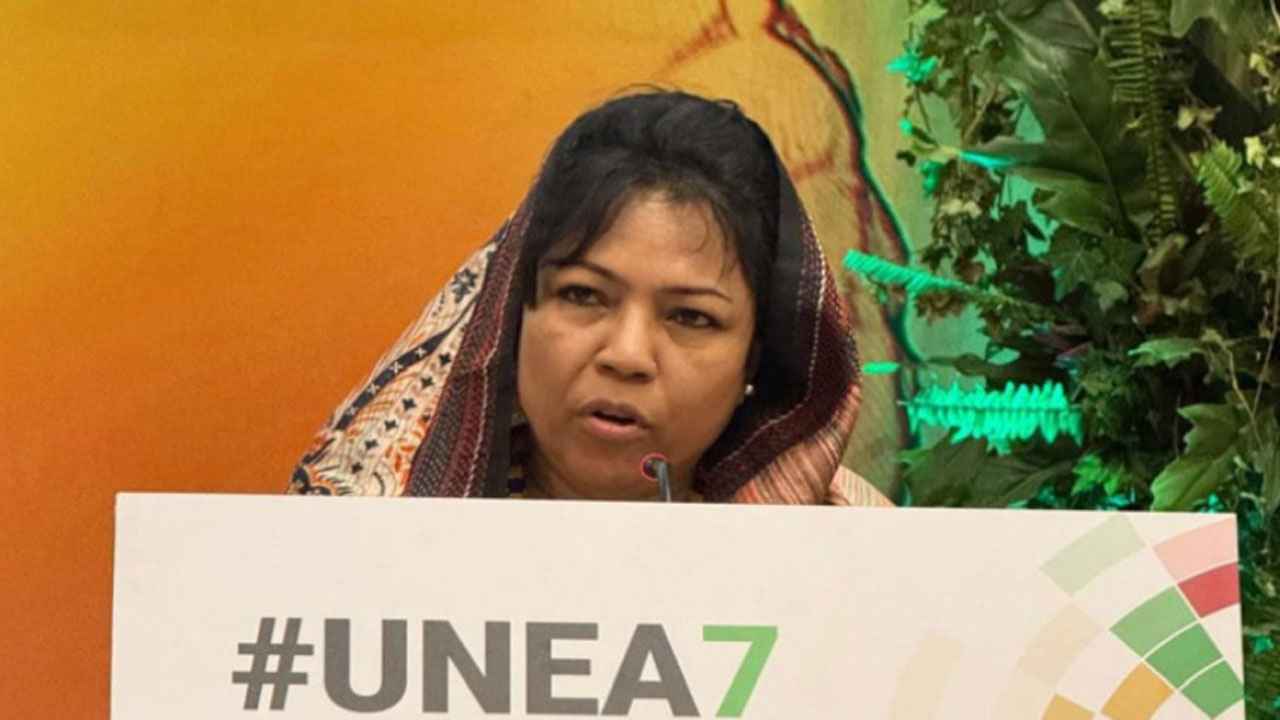 জলবায়ু পরিবর্তন ও দূষণ মোকাবিলায় পর্যাপ্ত অর্থায়নের আহ্বান বাংলাদেশের