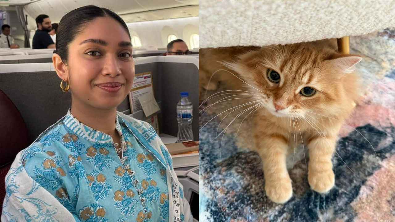 জাইমার বয়ানে ‘জেবু’র বেড়ে ওঠার গল্প