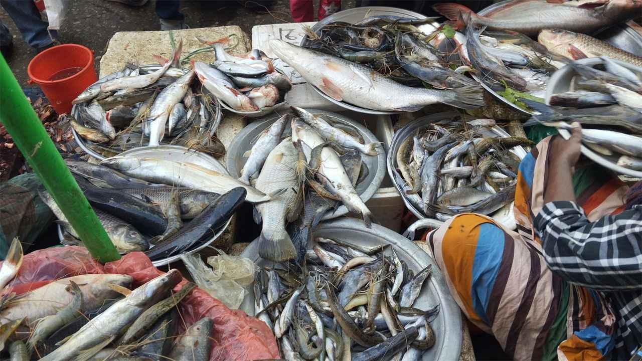 খাল–বিল শুকোতেই বাজারে উঠেছে দেশি মাছ, চড়া দাম হাঁকছেন বিক্রেতারা!