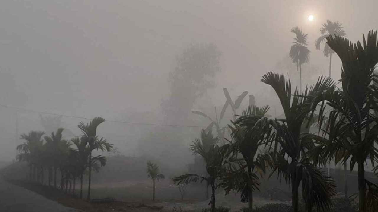 নতুন বছরের শুরুতেও কুয়াশার কবলে থাকবে দেশ