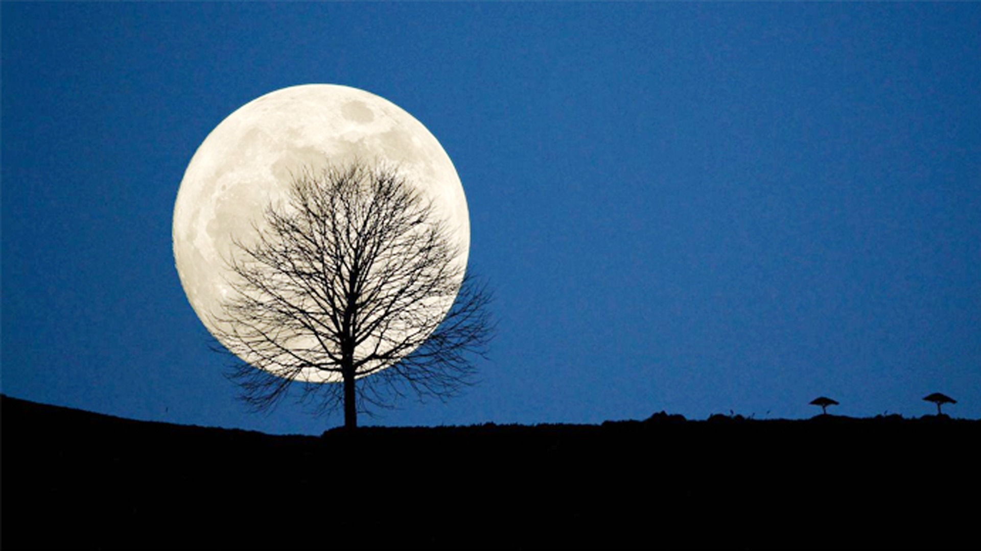 31c865889b30bffb65cf8901802a08138be91290ce4b016b