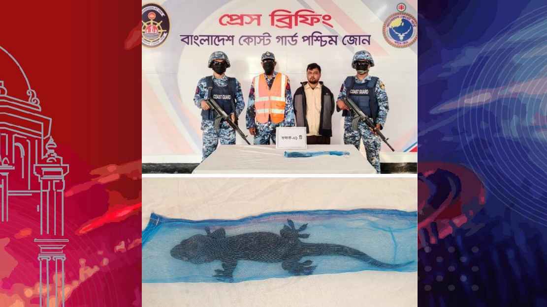 মোংলায় বিরল প্রজাতির তক্ষকসহ পাচারকারী আটক