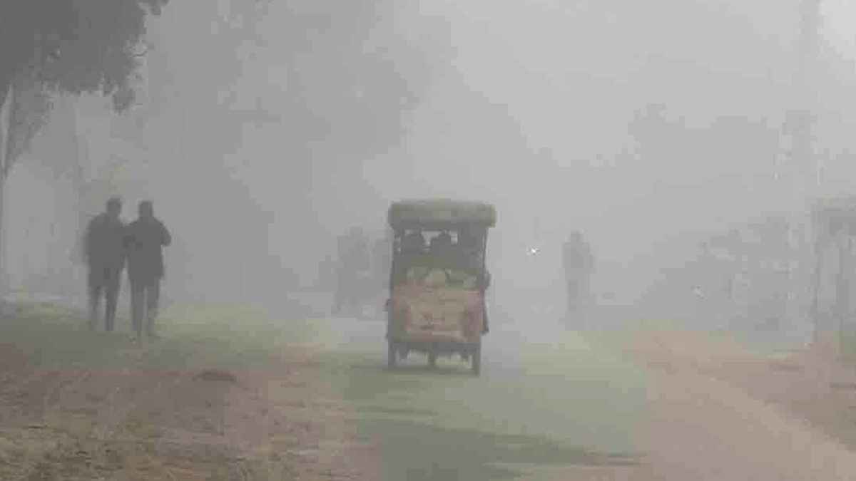 দিনাজপুরে জেঁকে বসেছে শীত, তাপমাত্রা নামল ১১ ডিগ্রিতে