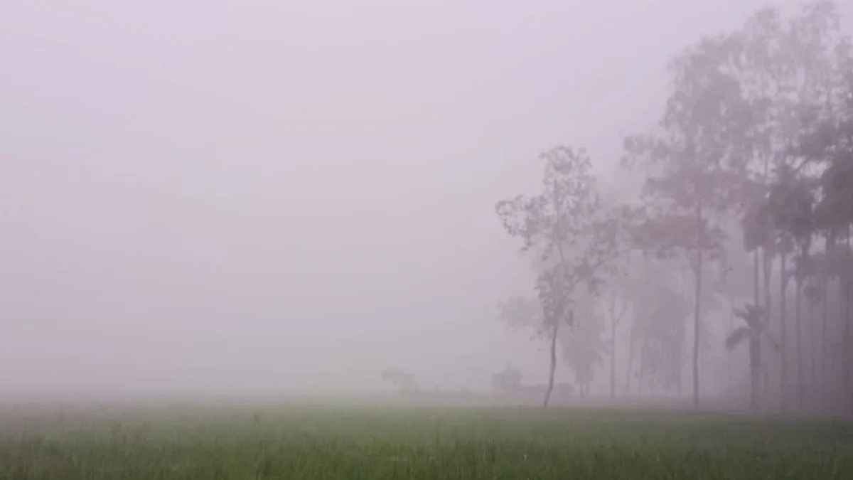 ফেনীতে মৌসুমের সর্বনিম্ন তাপমাত্রা, জনজীবন বিপর্যস্ত