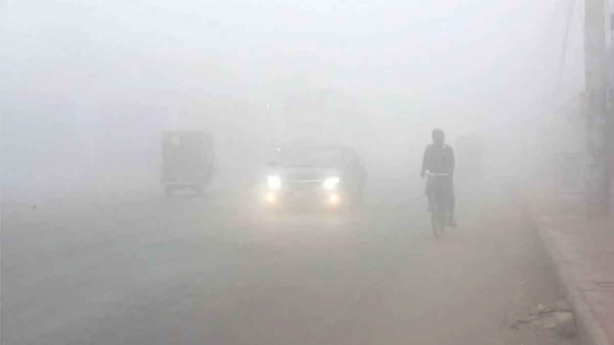 ঘন কুয়াশায় শীতের দাপট অব্যাহত