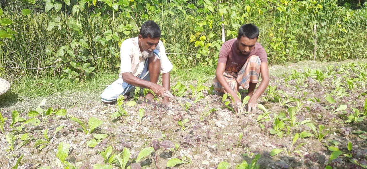 IMG-20251111-WA0013 IMG-20251111-WA0013