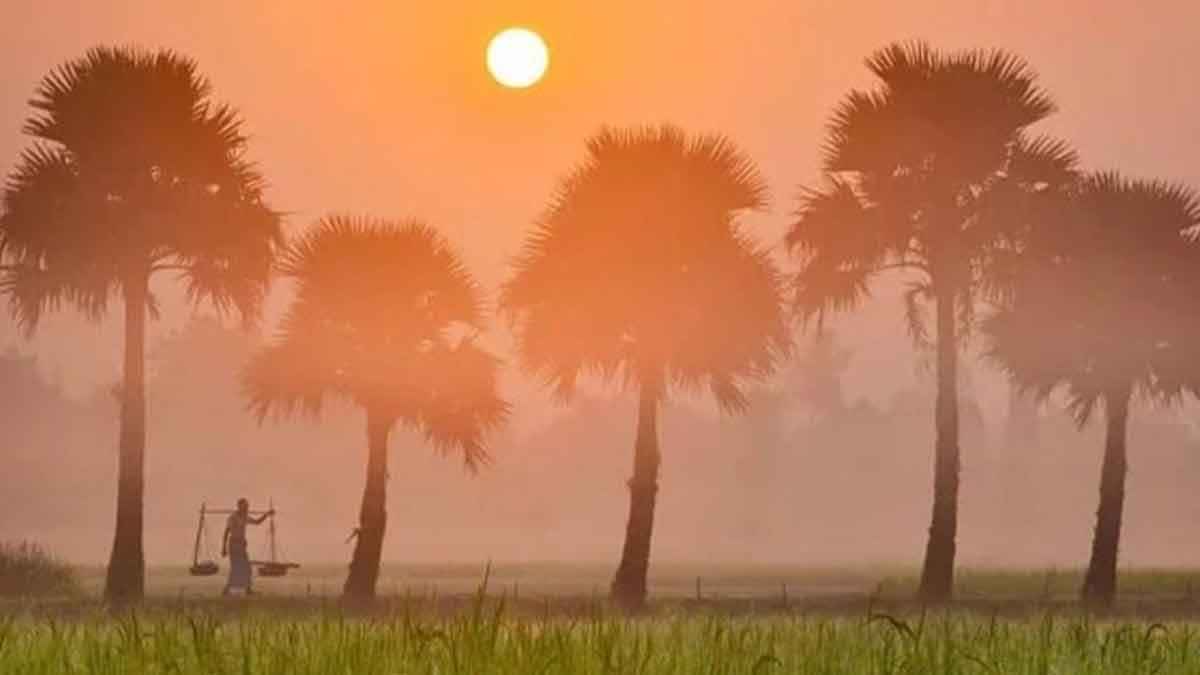 সারাদেশে কুয়াশা পড়ার আভাস, কমবে রাতের তাপমাত্রা