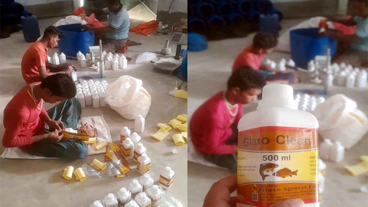 অনুমোদন ছাড়াই তৈরি হচ্ছে নকল মৎস্য ওষুধ