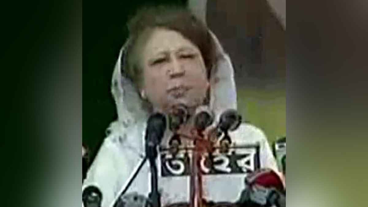 দেশ বাঁচাতে-আ.লীগ পতনে ছোট বড় সব দল নিয়ে বসতে চেয়েছিলেন খালেদা জিয়া
