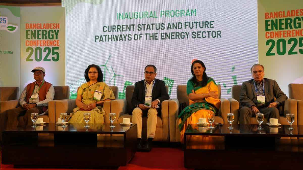 নবায়নযোগ্য জ্বালানি মহাপরিকল্পনা সংশোধনের আহ্বান