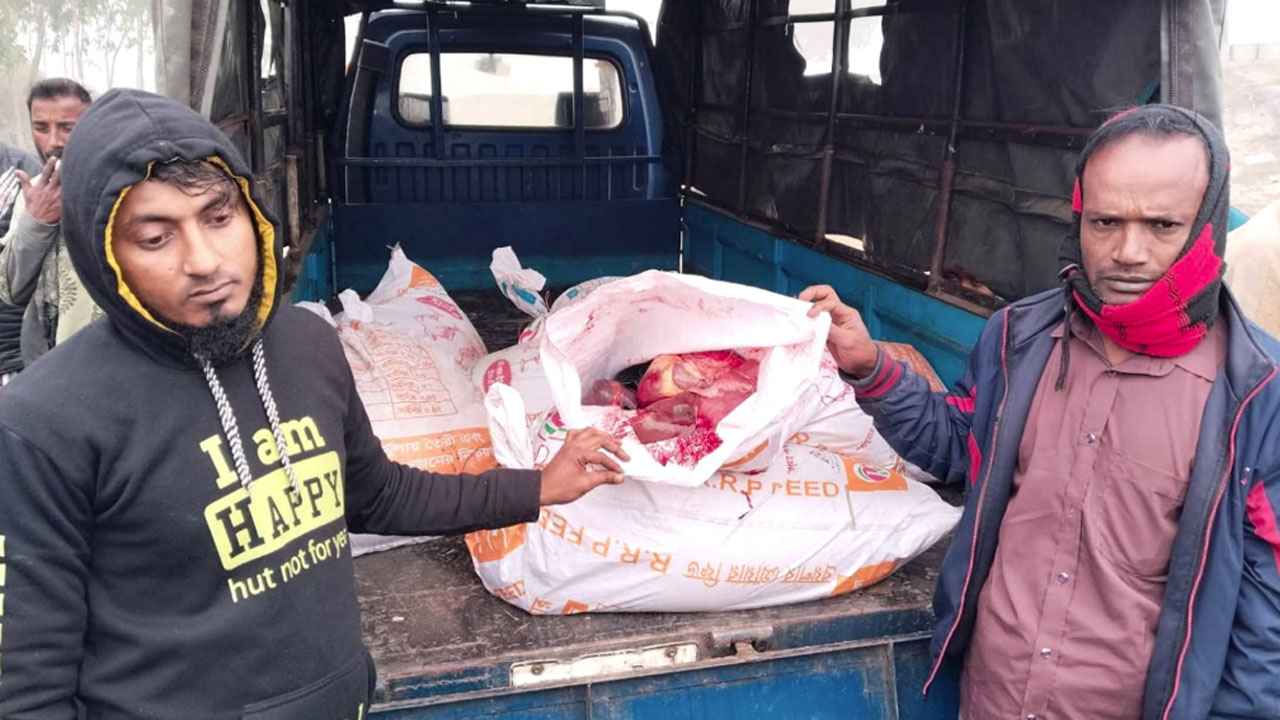 সিরাজগঞ্জে ঘোড়ার মাংসসহ আটক ২