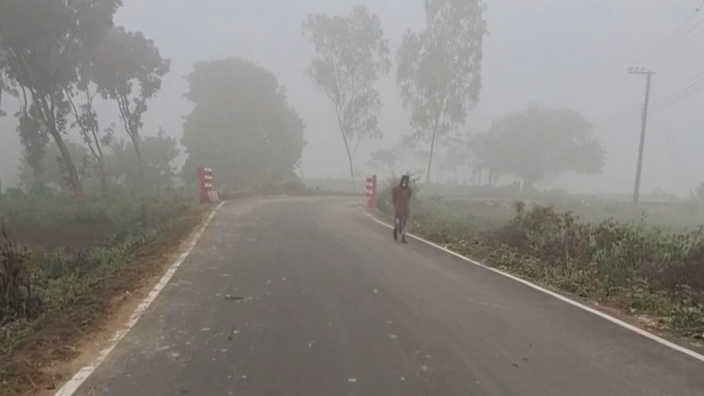পঞ্চগড়ে জেঁকে বসেছে শীত, তাপমাত্রা ১২ ডিগ্রির ঘরে 