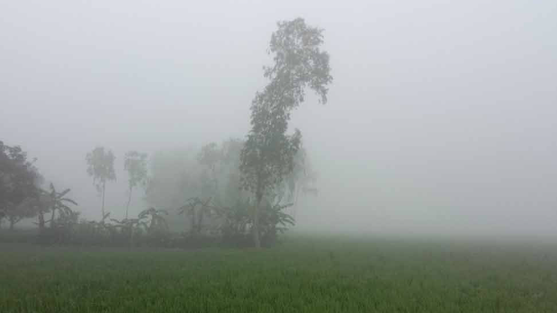 কুড়িগ্রামে তাপমাত্রা নামল ১২ ডিগ্রির ঘরে