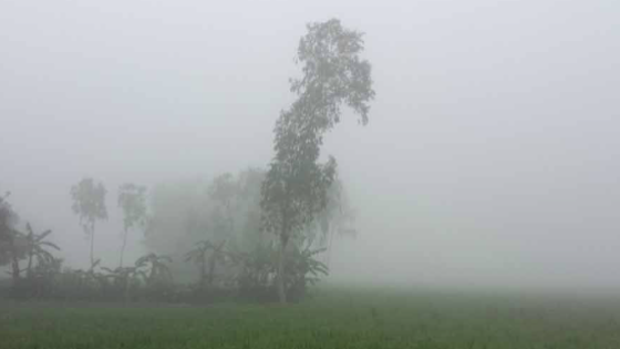 কুড়িগ্রামে বেড়েছে শীতের দাপট, তাপমাত্রা ১২ ডিগ্রির ঘরে