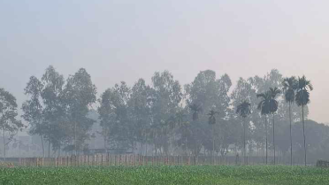 ফুলবাড়ীতে শীতে স্থবির জনজীবন, তাপমাত্রা ১০.৮ ডিগ্রির ঘরে