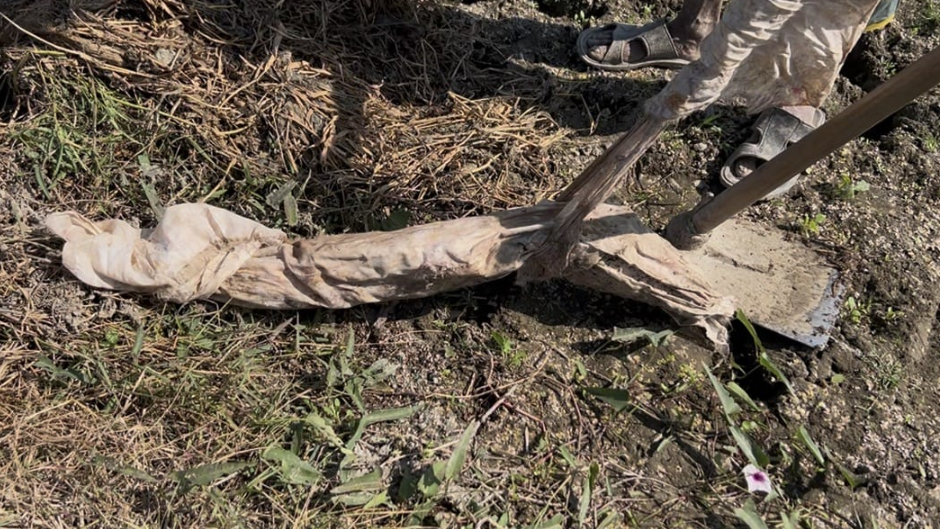 ফরিদপুরের ফসলি জমিতে লাশ সদৃশ রহস্যময় বস্তু