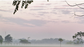 কুড়িগ্রামে বাড়ছে শীতের তীব্রতা, হিম বাতাসে বিপর্যস্ত জনজীবন