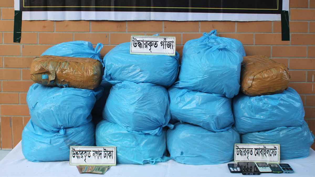 সিরাজগঞ্জে ৫১ কেজি গাঁজাসহ দুই মাদক কারবারি গ্রেফতার