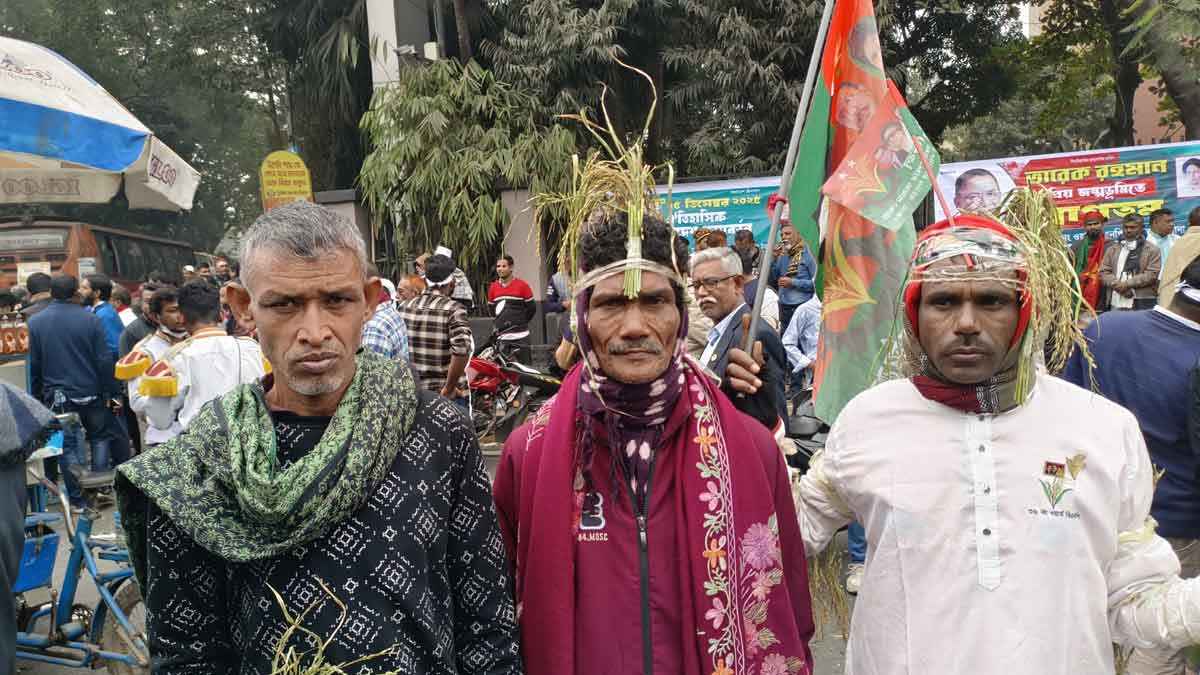 ধানের শীষ নিয়ে দাঁড়িয়ে তিন বৃদ্ধ