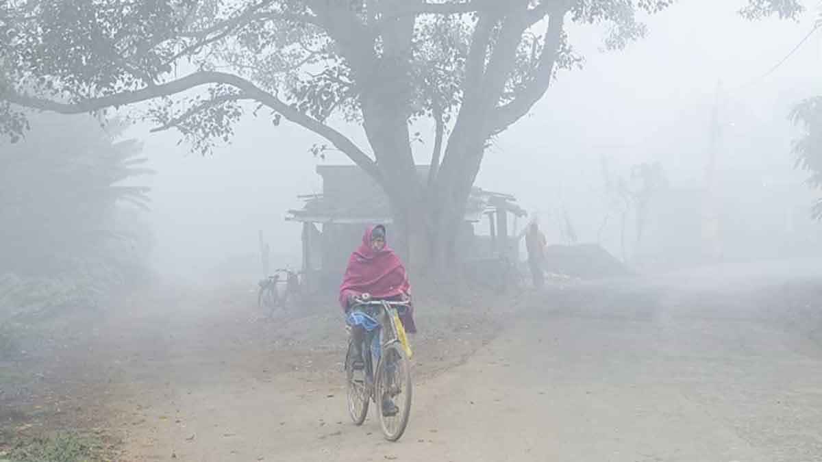 সারাদেশে শুষ্ক আবহাওয়া, কুয়াশা ও তাপমাত্রা কমার ইঙ্গিত