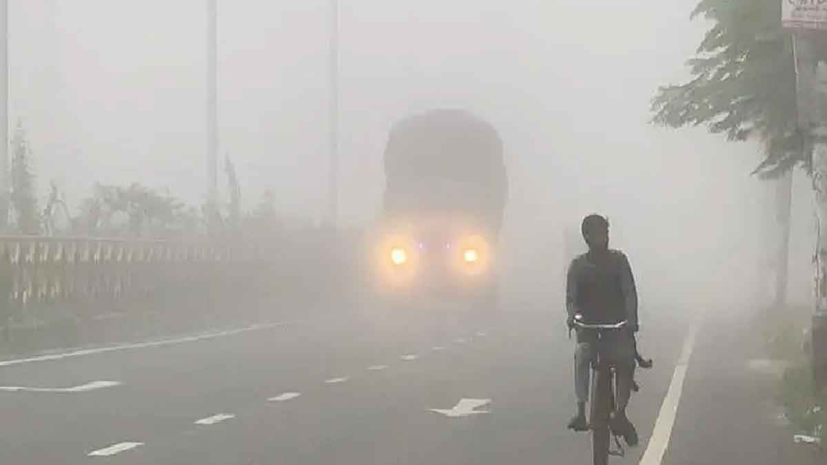 শীতের তীব্রতা না কমলেও কুয়াশা বাড়ার শঙ্কা, বিপর্যস্ত যোগাযোগ ব্যবস্থা