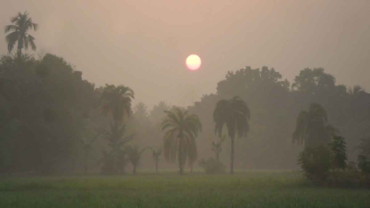 কয়েক দিন কুয়াশাচ্ছন্ন সকাল, তাপমাত্রা প্রায় স্থির