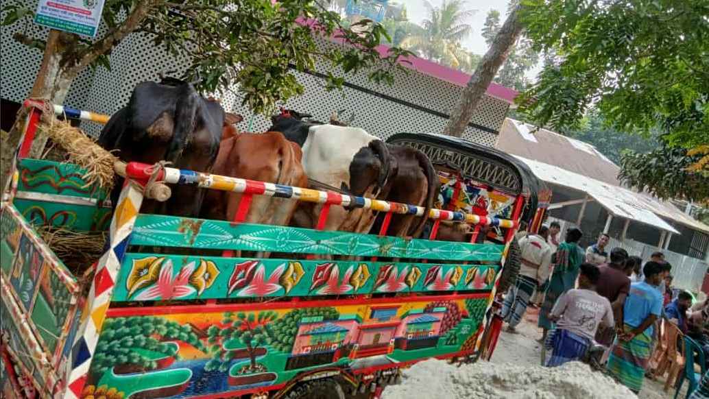 মাগুরায় সড়ক দুর্ঘটনায় মোটরসাইকেল আরোহী নিহত