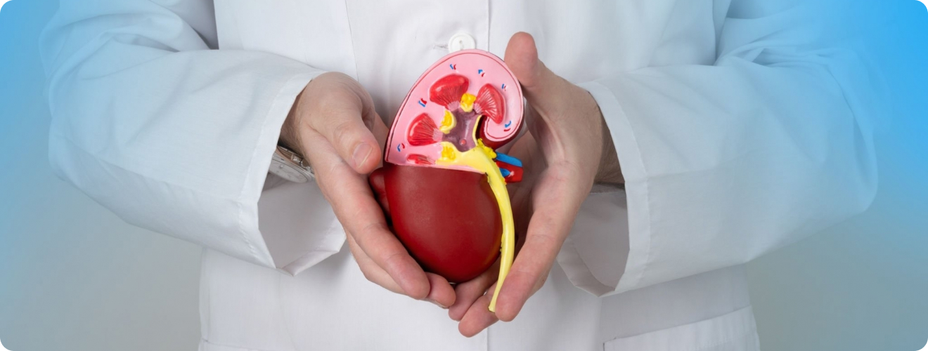 article-kidney-disease-intro article-kidney-disease-intro