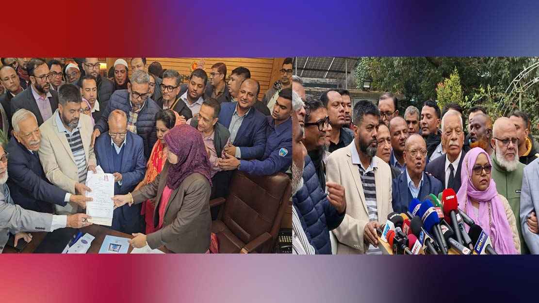 নেত্রীর বিকল্প কেউ নেই, উনার অসুস্থতার জন্যই এমন সিদ্ধান্ত: মিন্টু