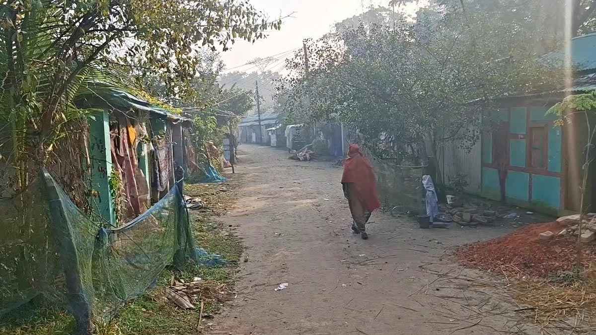 বরগুনায় ঘন কুয়াশা ও তীব্র শীতে বিপর্যস্ত জনজীবন