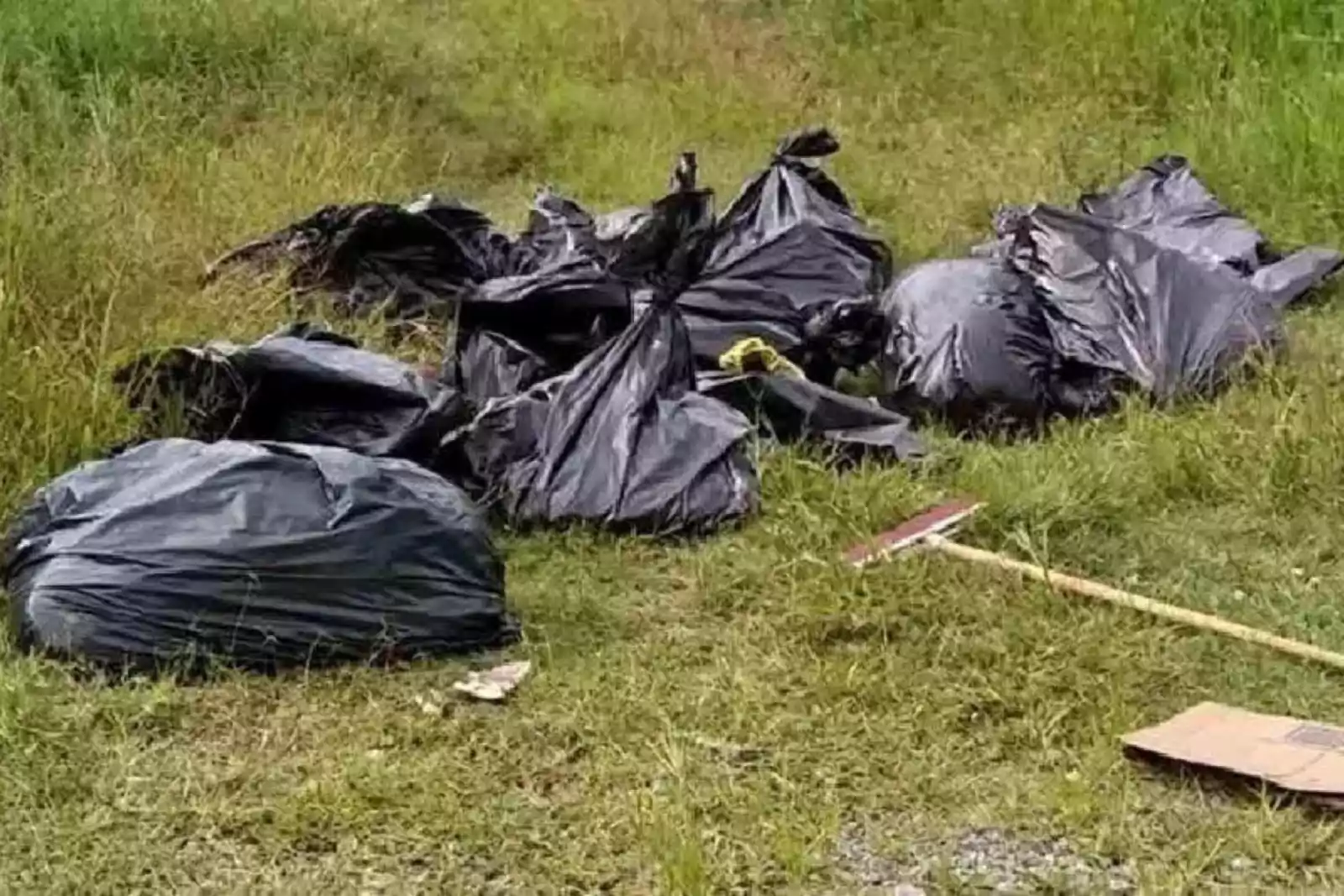 bolsas-1763923741609_1600_1067