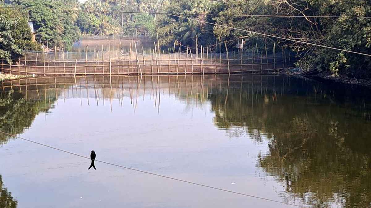 চাঁদপুরে সেচ প্রকল্পের সাড়ে ৩শ কিলোমিটার খাল বেদখল, ক্ষতিগ্রস্ত কৃষকরা
