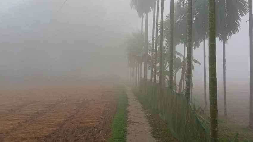 বাড়ছে শীতের প্রকোপ, বেশিরভাগ জেলায় তাপমাত্রা ১৪ ডিগ্রির নিচে 