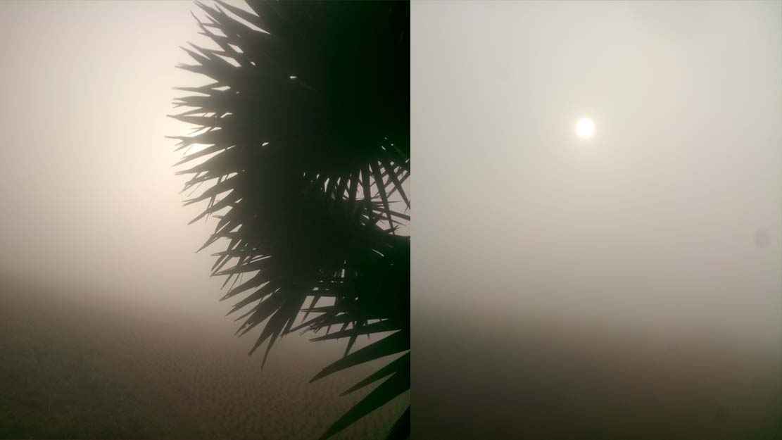 পটুয়াখালীতে ঘন কুয়াশার সঙ্গে তীব্র ঠান্ডা