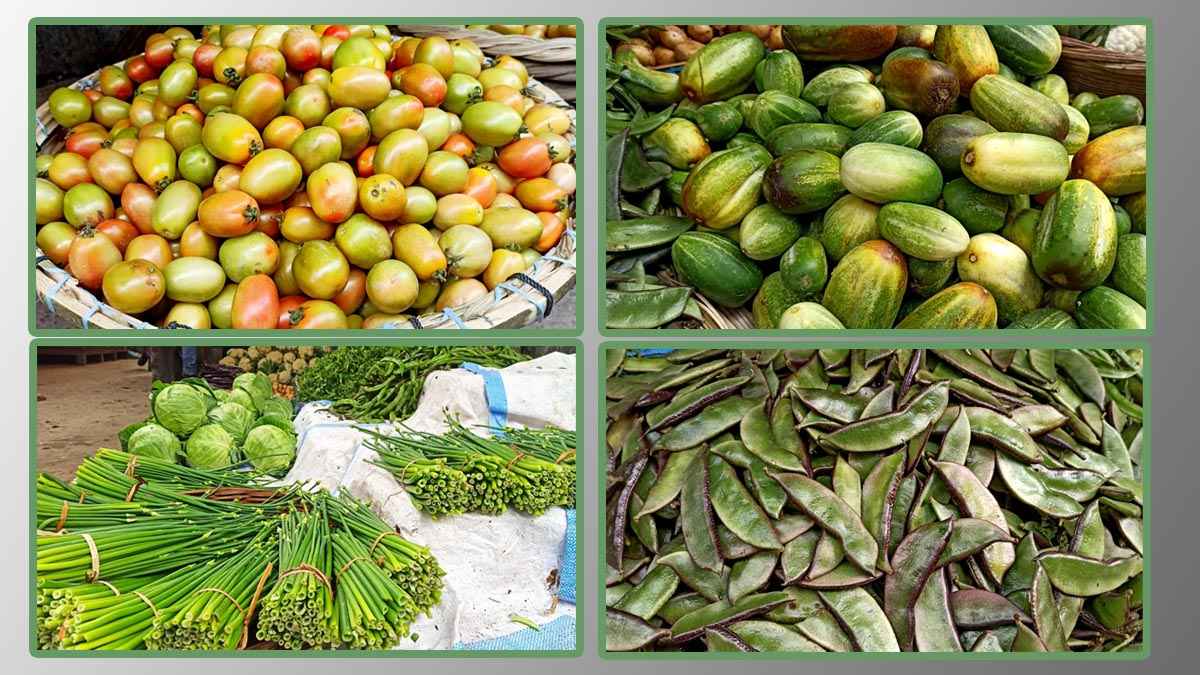 রাজবাড়ীতে কমেছে শীতকালীন সবজির দাম