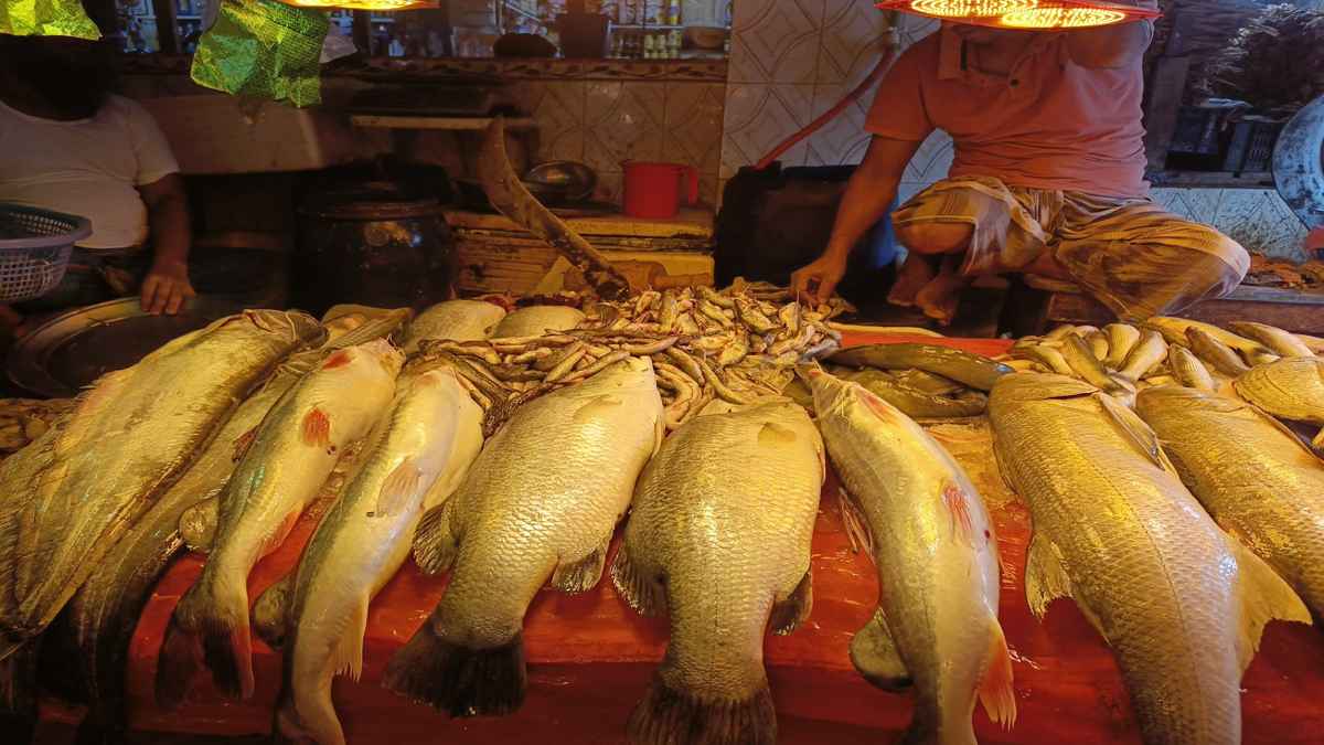 সামুদ্রিক মাছে বাজার সরগরম, স্বস্তিতে ক্রেতারা