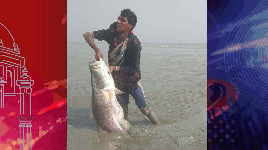 জাল ছাড়াই নদী তীরে ধরা পড়ল ২৩ কেজির কোরাল