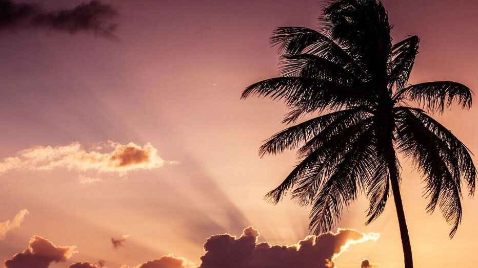 যাঁকে দেখলেই শয়তান পথ ছাড়ত: হজরত ওমরের ৪ শক্তিশালী গুণ