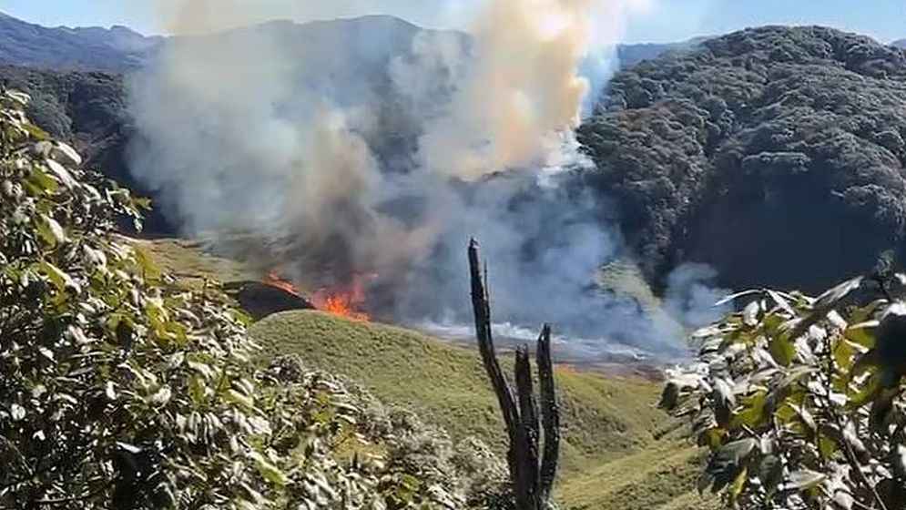 দাবানলে পুড়ছে ভারতের জুকো উপত্যকা