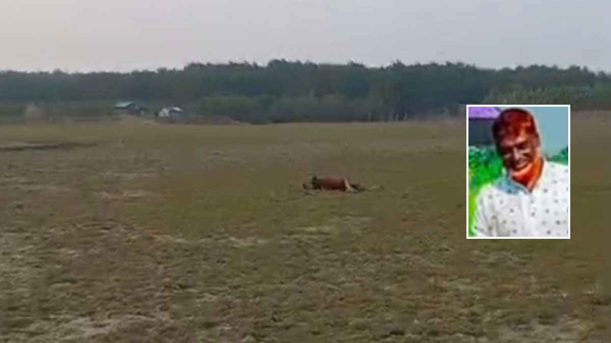 হাতিয়ায় রণক্ষেত্র: ২ দিন পর মিলল নিখোঁজ শামসুর লাশ, মোট মৃত্যু ৬