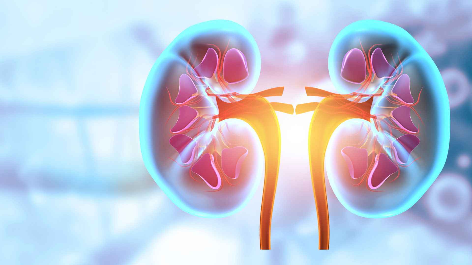 কিডনি সমস্যায় কারণ খুঁজে পেলেন গবেষকরা