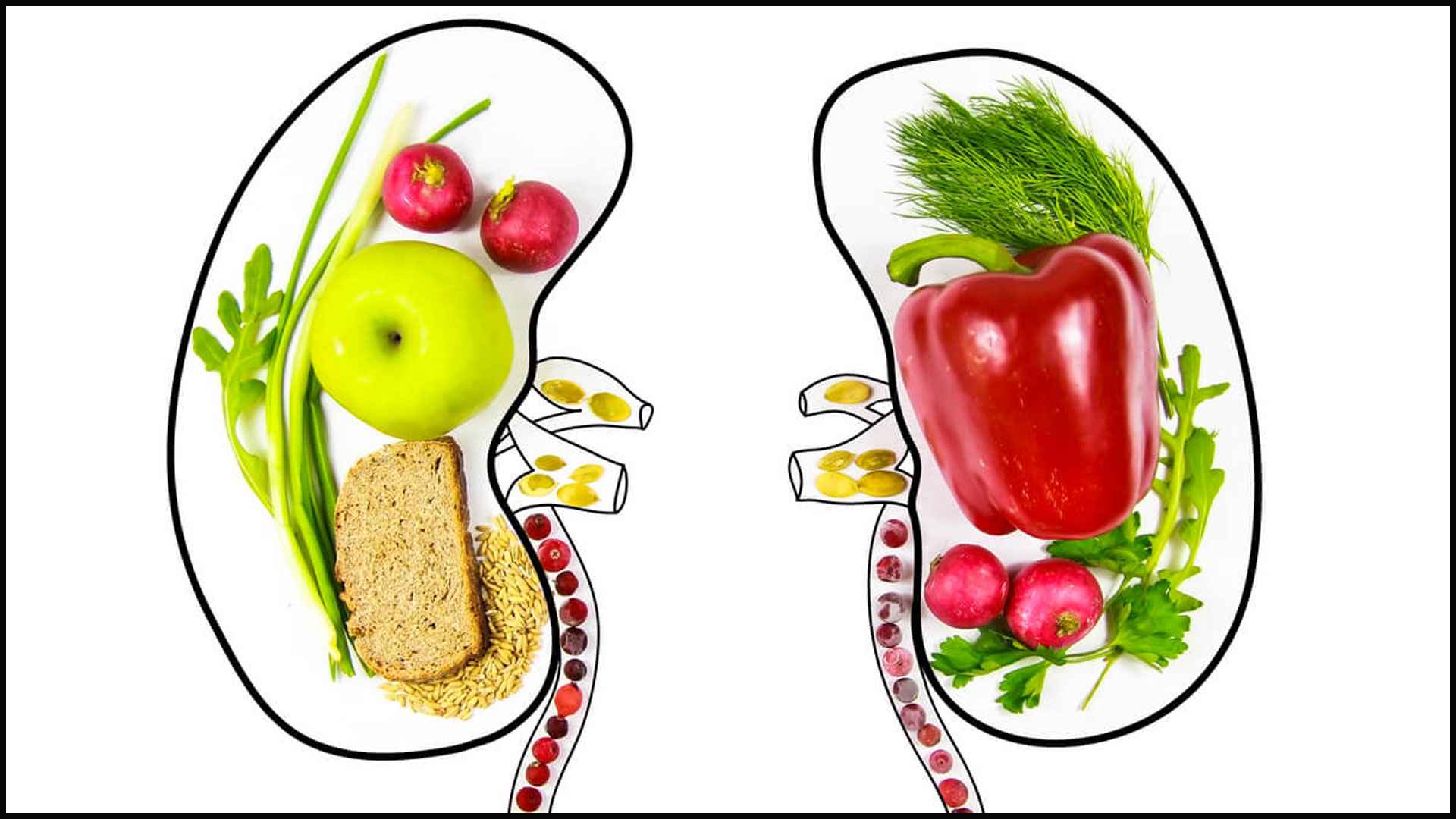 কিডনি ভালো রাখতে কী খাবেন, কোন খাবার এড়িয়ে চলবেন?