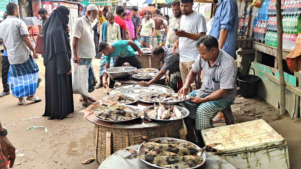 সোনারগাঁয়ের যে বাজারে প্রতিদিন ২০ লাখ টাকার মাছ বিক্রি হয়
