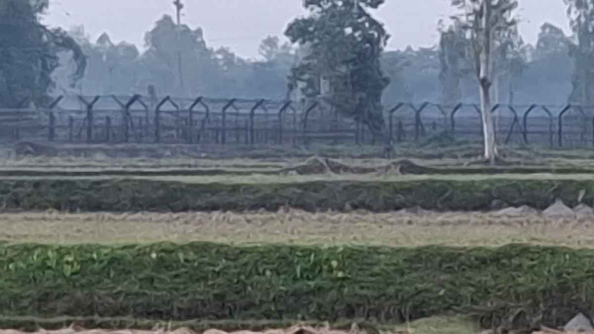 পাটগ্রামে বিজিবির হাতে বিএসএফ সদস্য আটক