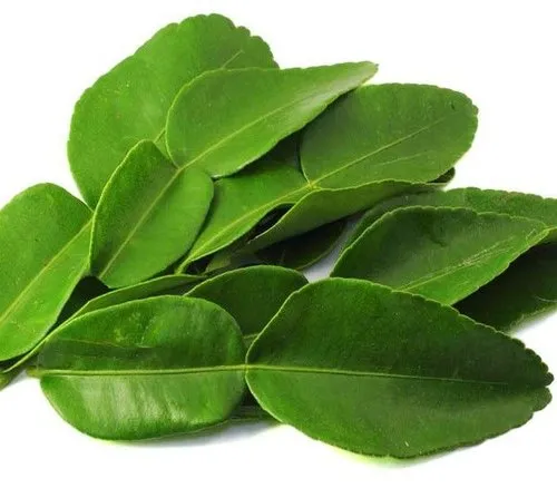 lemon-leaves-5-kg-500x500 lemon-leaves-5-kg-500x500
