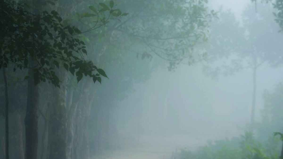 কুয়াশার চাঁদরে ঢাকা মৌলভীবাজার