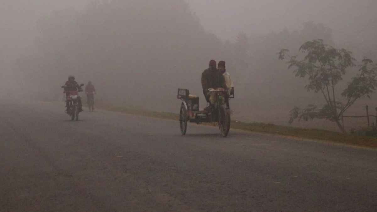 নওগাঁয় জেঁকে বসেছে শীত, বৃষ্টির মতো ঝরছে কুয়াশা