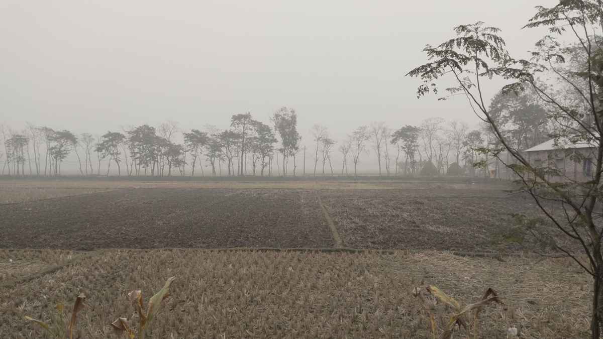 কনকনে ঠান্ডায় জবুথবু নীলফামারীর জনজীবন